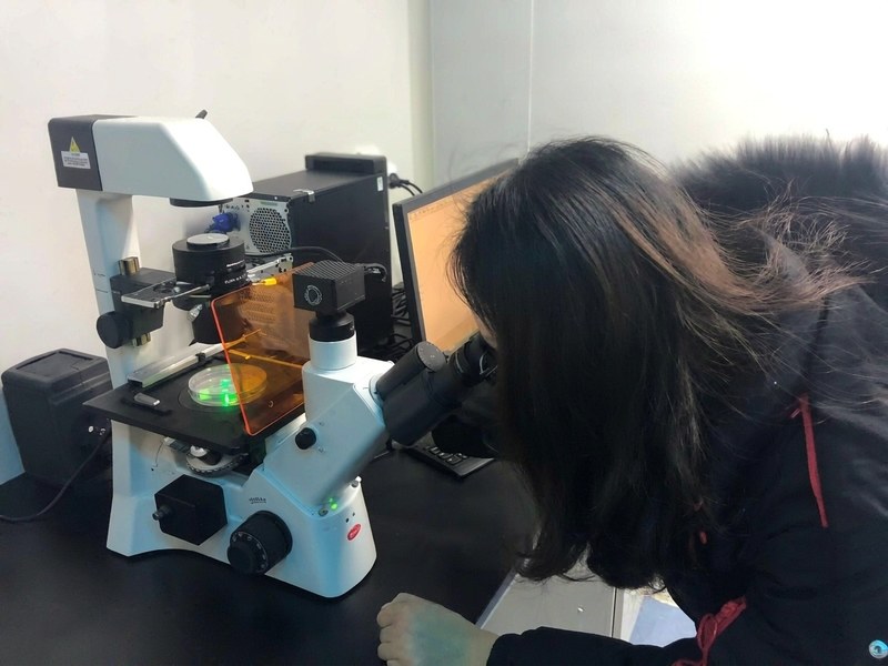Institute of Plant Protection, Henan Academy of Agricultural Sciences microscopy case study