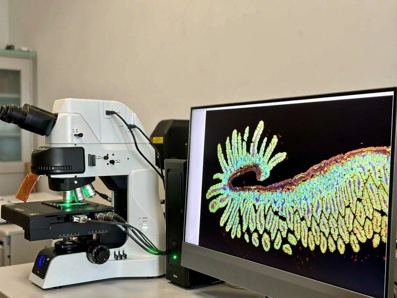 BGI microscopy case study